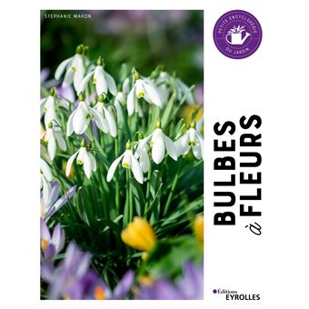 Guide des bulbes à fleurs du printemps - La terre est un jardin