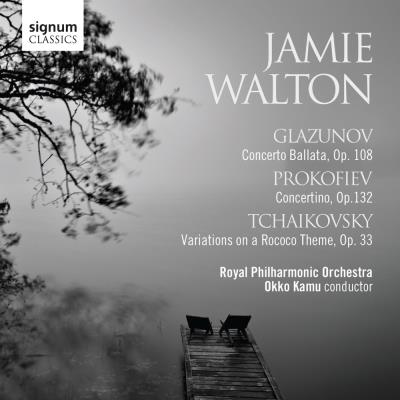 Concertos et variations