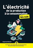 L'électricité, de la production à la consommation pour les nuls