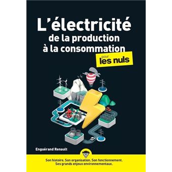 L'électricité, de la production à la consommation pour les nuls