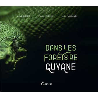 Dans les forêts de Guyane