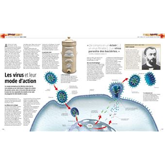 Médecine, histoire illustrée de l'Antiquité à nos jours