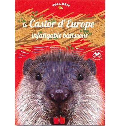 Le castor d'Europe, un infatigable bâtisseur