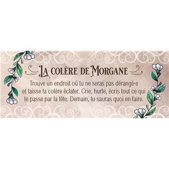 Le petit oracle de la fée Morgane
