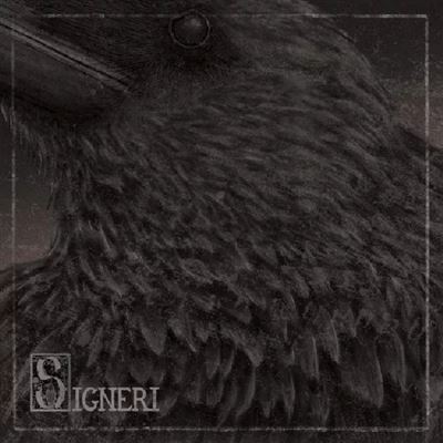 Signeri