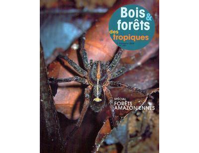 Bois forets des tropiques n 280 2004 special forets amazoni