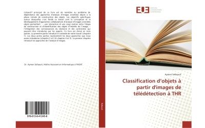 Classification d'objets a partir d'images de teledetection a