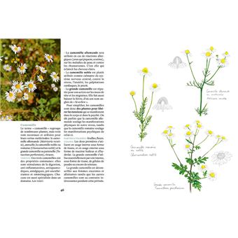 La Pharmacie naturelle - Avec des plantes médicinales sauvages et du jardin