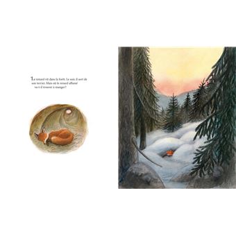 Le Renard et le Lutin
