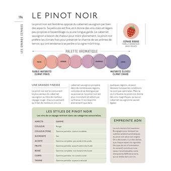 Le Vin : leçons de dégustation