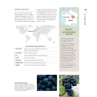 Le Vin : leçons de dégustation