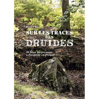 Sur la trace des druides - 50 lieux surprenants à découvrir en France