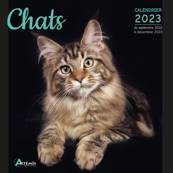 Calendrier Chat 2023 Calendrier Chats 2023 - Broché - Collectif, Livre Tous Les Livres À La Fnac