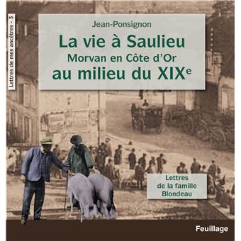 La vie à Saulieu Morvan en Côte d'Or au milieu du XIXème siècle
