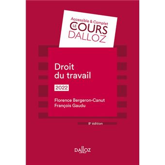 Droit Du Travail 6e Ed