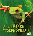 Du têtard à la grenouille