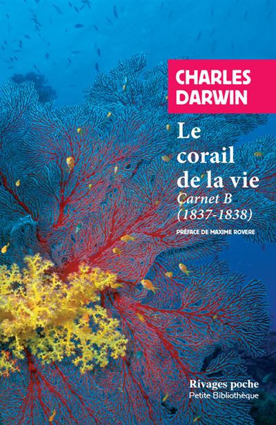 Le corail de la vie.