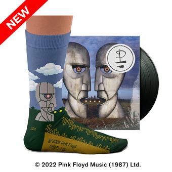 Chaussettes Pink Floyd Division Bell