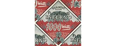 1000 Watts