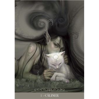 Coffret Oracle des chats fantasy