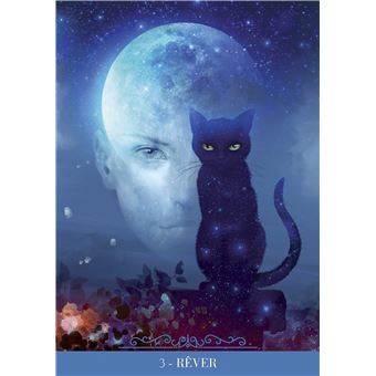 Coffret Oracle des chats fantasy