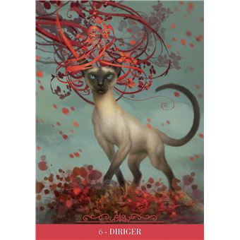 Coffret Oracle des chats fantasy