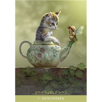 Coffret Oracle des chats fantasy