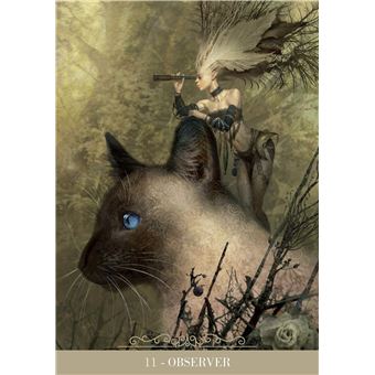 Coffret Oracle des chats fantasy