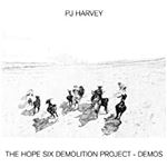 The Hope Six Demolition Project. Demos