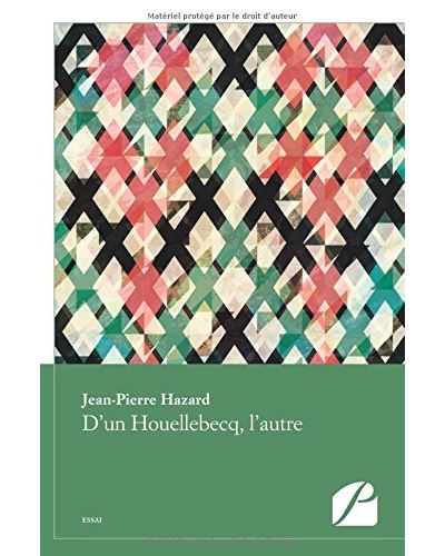 D'un Houellebecq, l'autre