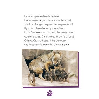 Défis nature - Premières lectures - Un loup pas comme les autres