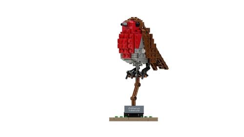 LEGO® Creator 21301 Oiseaux - Lego
