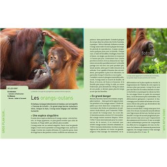 Geobook Animaux - 1000 idées de voyage - Edition collector