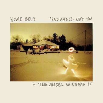 Howe Gelb - 1