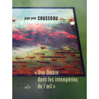 Une Ombre dans les intempéries de l'œil