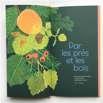 Arbres d'ici et d'ailleurs