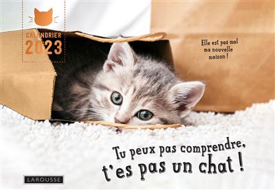 https://static.fnac-static.com/multimedia/Images/FR/NR/60/54/da/14308448/1507-1/tsp20220824061417/Calendrier-Tu-peux-pas-comprendre-t-es-pas-un-chat.jpg