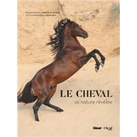 Cheval Element Libre Relie Emmanuelle Brengard Christiane Slawik Achat Livre Fnac Cheval Element Libre Relie Emmanuelle Brengard Christiane Slawik Achat Livre Fnac