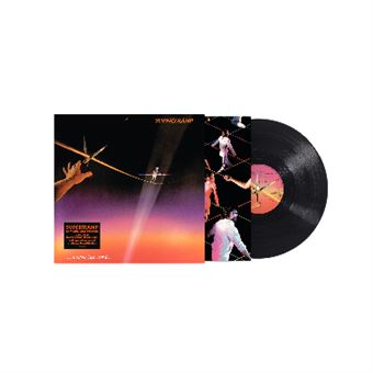 Famous Last Words - Vinilo