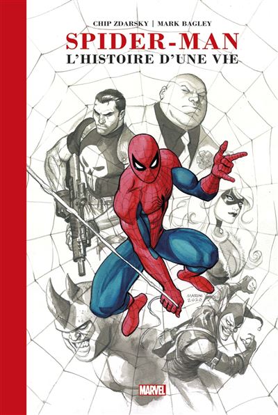 Spider-Man - Spider-Man : L'histoire d'une vie (Edition prestige) - Chip  Zdarsky, Mark Bagley - cartonné - Achat Livre | fnac