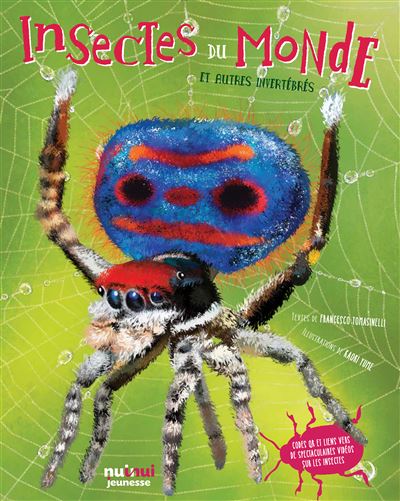 Insectes du monde et autres invertebres
