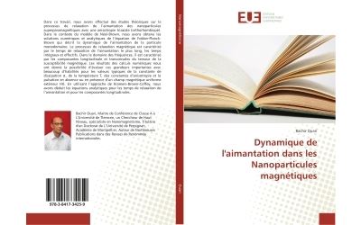Dynamique de l'aimantation dans les Nanoparticules magnétiques
