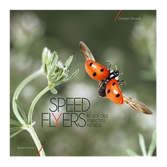 Speed flyers le vol des insectes révélé