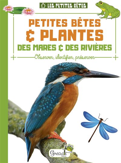 Petites bêtes et plantes des mares et rivières - Alice Delvaille - broché