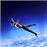 Let me fly_0