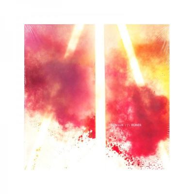 Bones Digipack