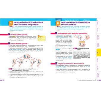 Prépabrevet Tout le brevet 2024 3e (toutes les matières)
