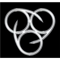 Insineratehymn Édition Limitée Vinyle Argent