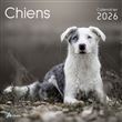 Calendrier chiens 2026