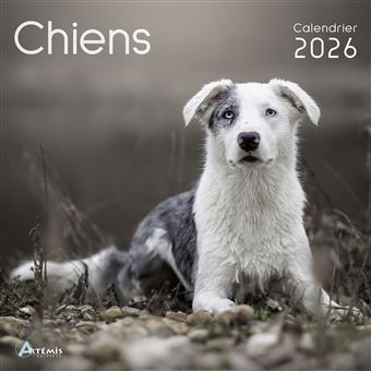 Calendrier chiens 2026